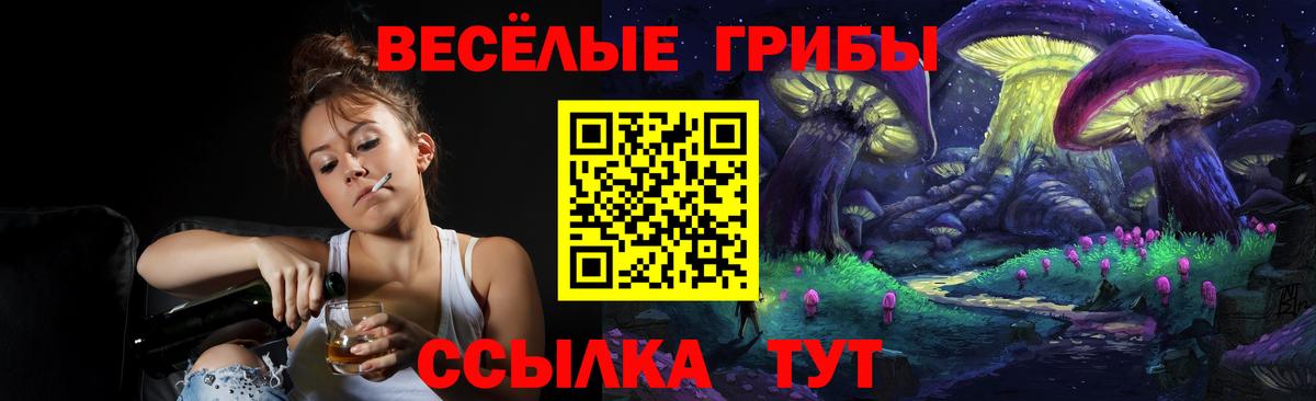 Кемерово  Псилоцибиновые грибы MAGIC MUSHROOMS  Вход с VPN 